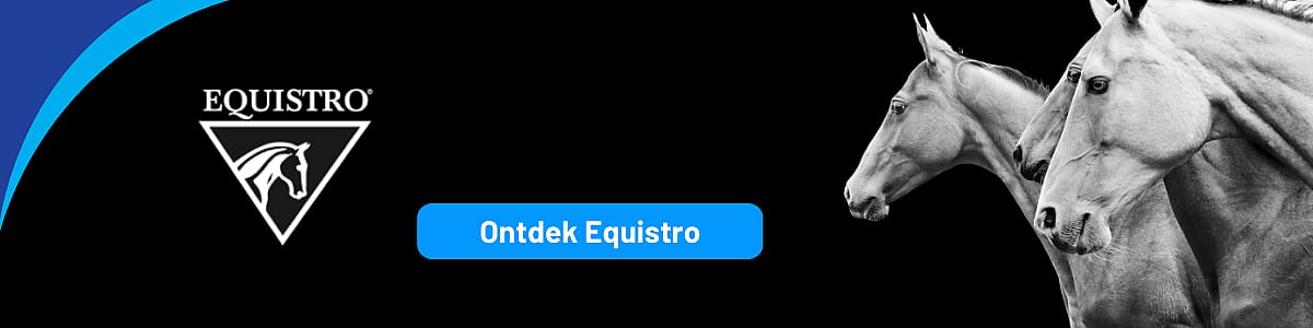 Dier, Colt Horse, Paard, Zoogdier